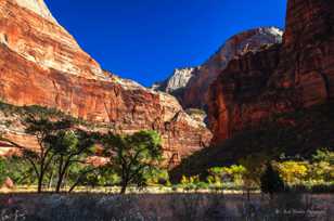 Zion Fall color-4417